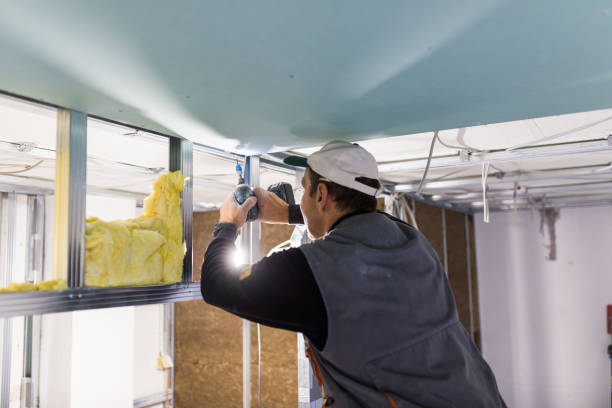 Best Types of Insulation in Philipsburg, MT